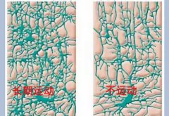 儿童好色视频下载污厂家科普运动可以有效促进儿童智力发育