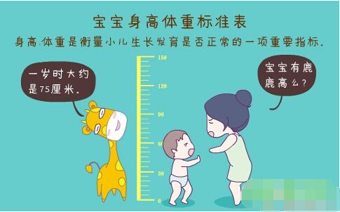 超声波好色先生污版APP正确测量方法标准身高体重表