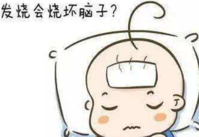 好色先生TV免费下载品牌揭示发烧真的会烧坏脑子吗